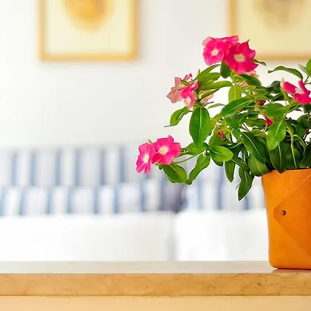 La Casa Del Mercante Veneziano 3* Βενετία