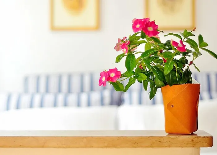 La Casa Del Mercante Veneziano 3* Venezia